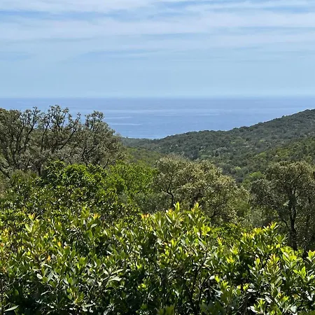 Appartement En Rez-de-chaussee De - Classification 3 Etoiles