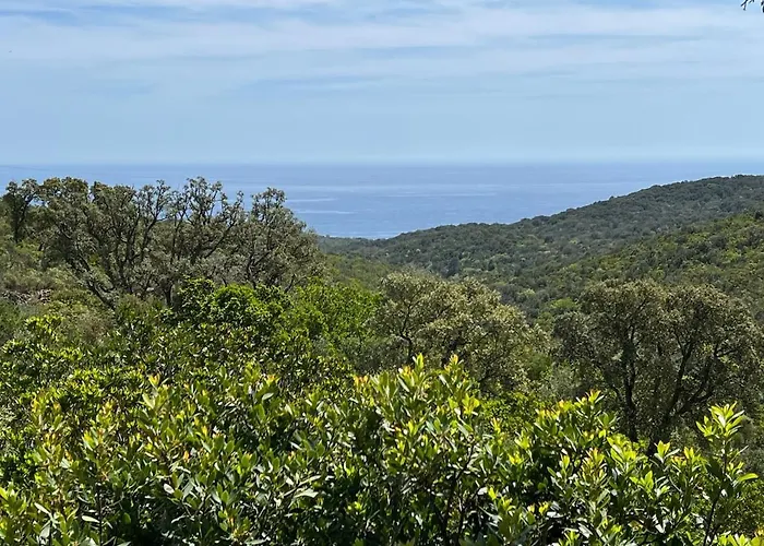 Apartment En Rez-de-chaussee De - Classification 3 Etoiles